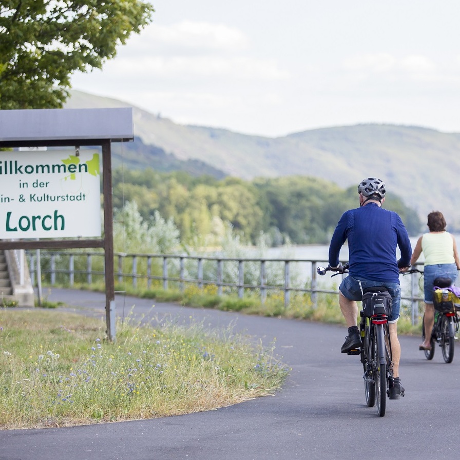 cycling along the rhine valley